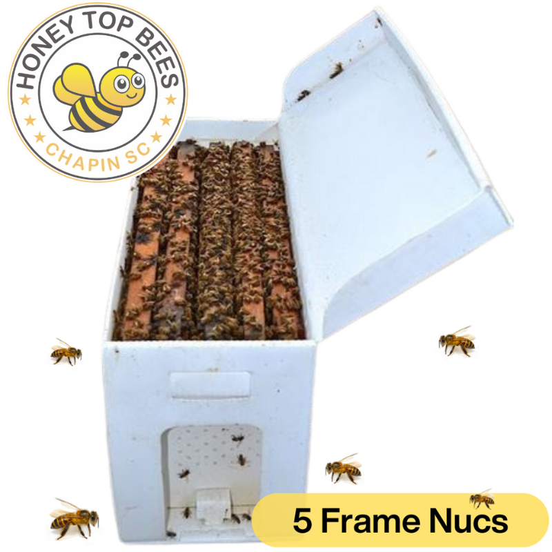 2026 Bees 5-Frame Nuc's