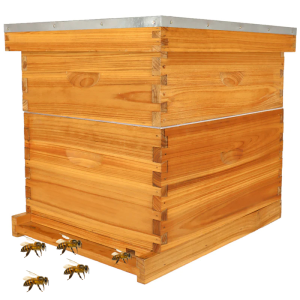 Full Bee Hive Kit With a Colony of Bees