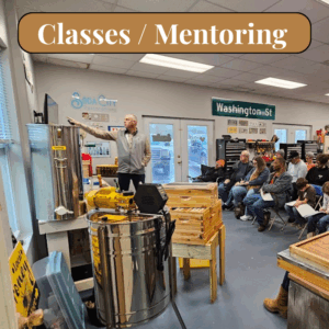 Video Course & Mentoring