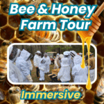 Bee and Honey Farm Tour - Immersive