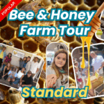 Bee and Honey Farm Tour - Standard