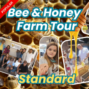 Bee and Honey Tour Lite