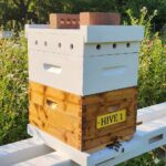 Beehive Number Plates