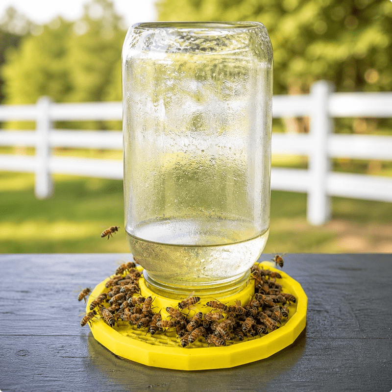 Mason Jar Bee Waterer & Sugar Water Feeder | No-Drown Garden Pollinator Feeder