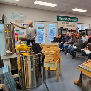 Video Course & Mentoring