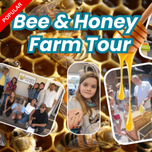 Bee and Honey Farm Tours