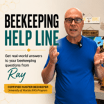 15 Minutes - Beekeeping Consulting / Advice