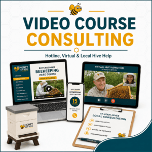 Video Course, Consulting