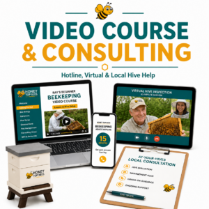 Video Course, Consulting