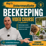 Intermediate Course