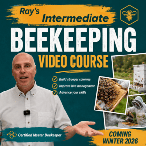 Intermediate Course